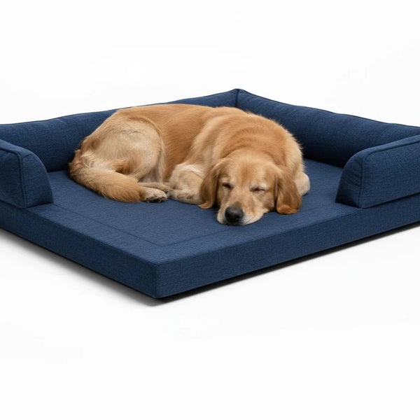 Is Your Dog’s Bed Causing Them to Wake Up Stiff? Give Them the Gift of Deep, Restorative Sleep!